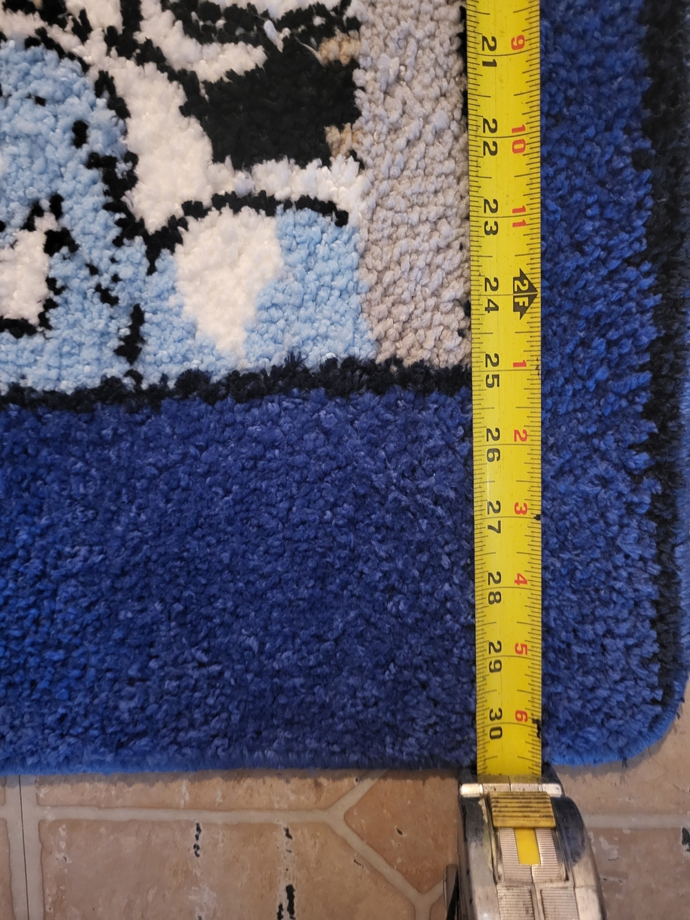 Pokémon Blue Rug Blastoise - Picture 5 of 7